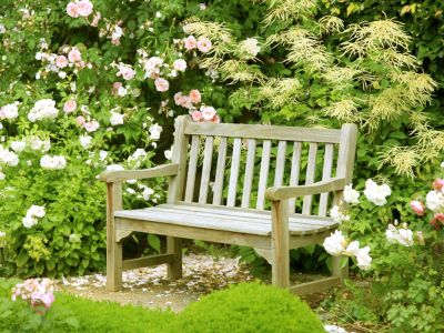 Millwood Preserve at Framingham